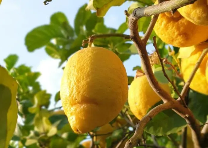 Le Vele Mondello, A Due Passi Dal Mare *